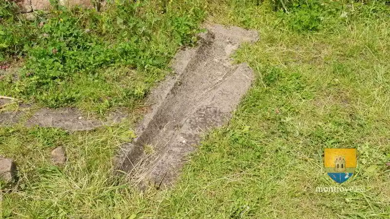 Gouttière de récupération d'eau Gouttière de récupération d'eau