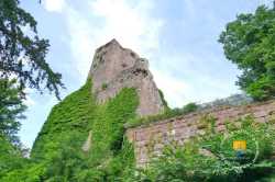 Burg Kintzheim
