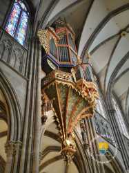 Orgue Nid Strasbourg