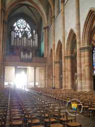 Nef Orgue Collegiale