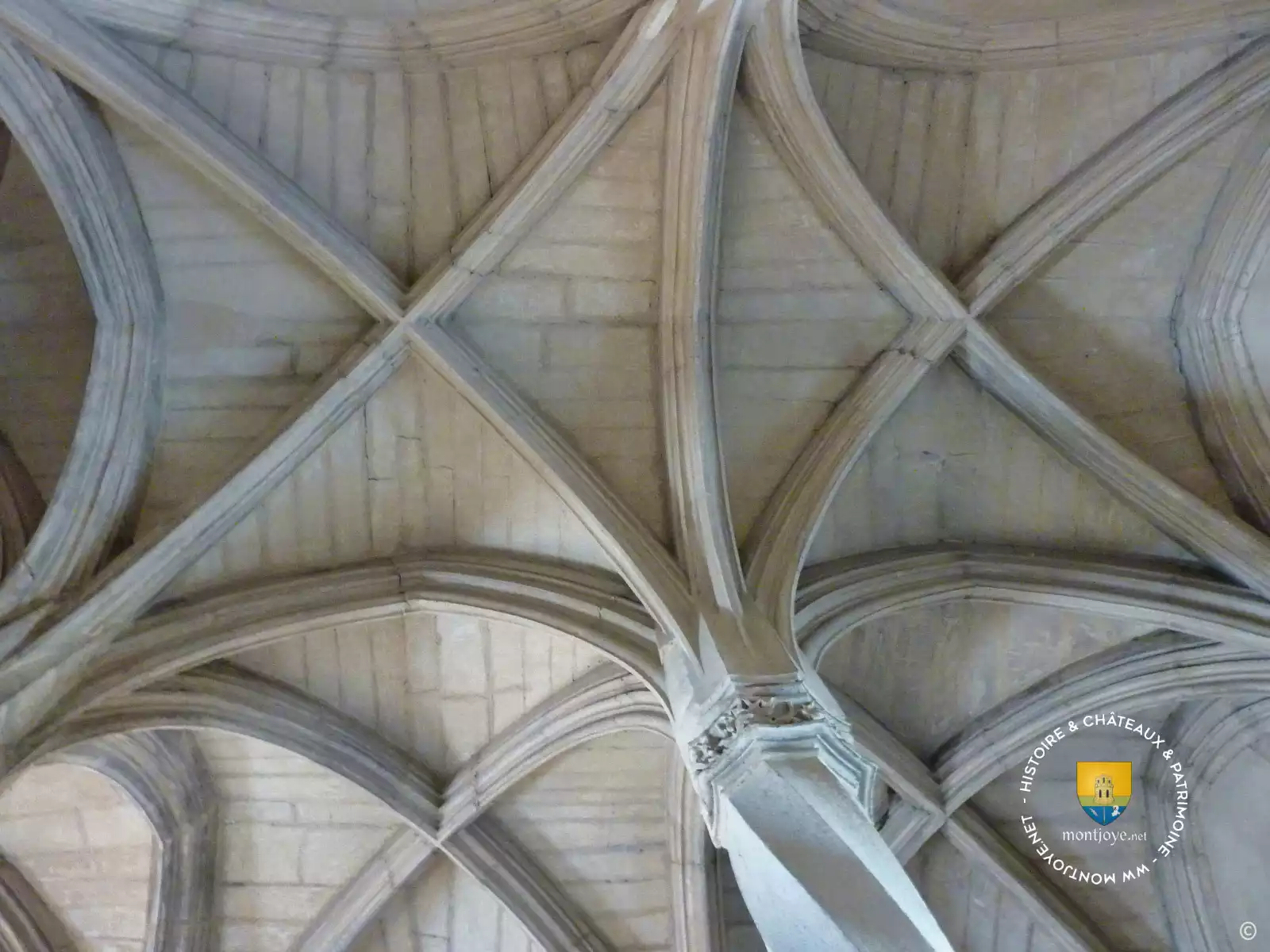 Tour Philippe Le Bon Palais Des Ducs Voute Dijon Tour Philippe Le Bon Palais Des Ducs Voute Dijon