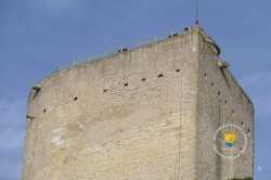 Eperon Du Donjon Issoudun