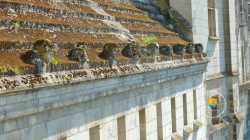 Macaron Logis Renaissance