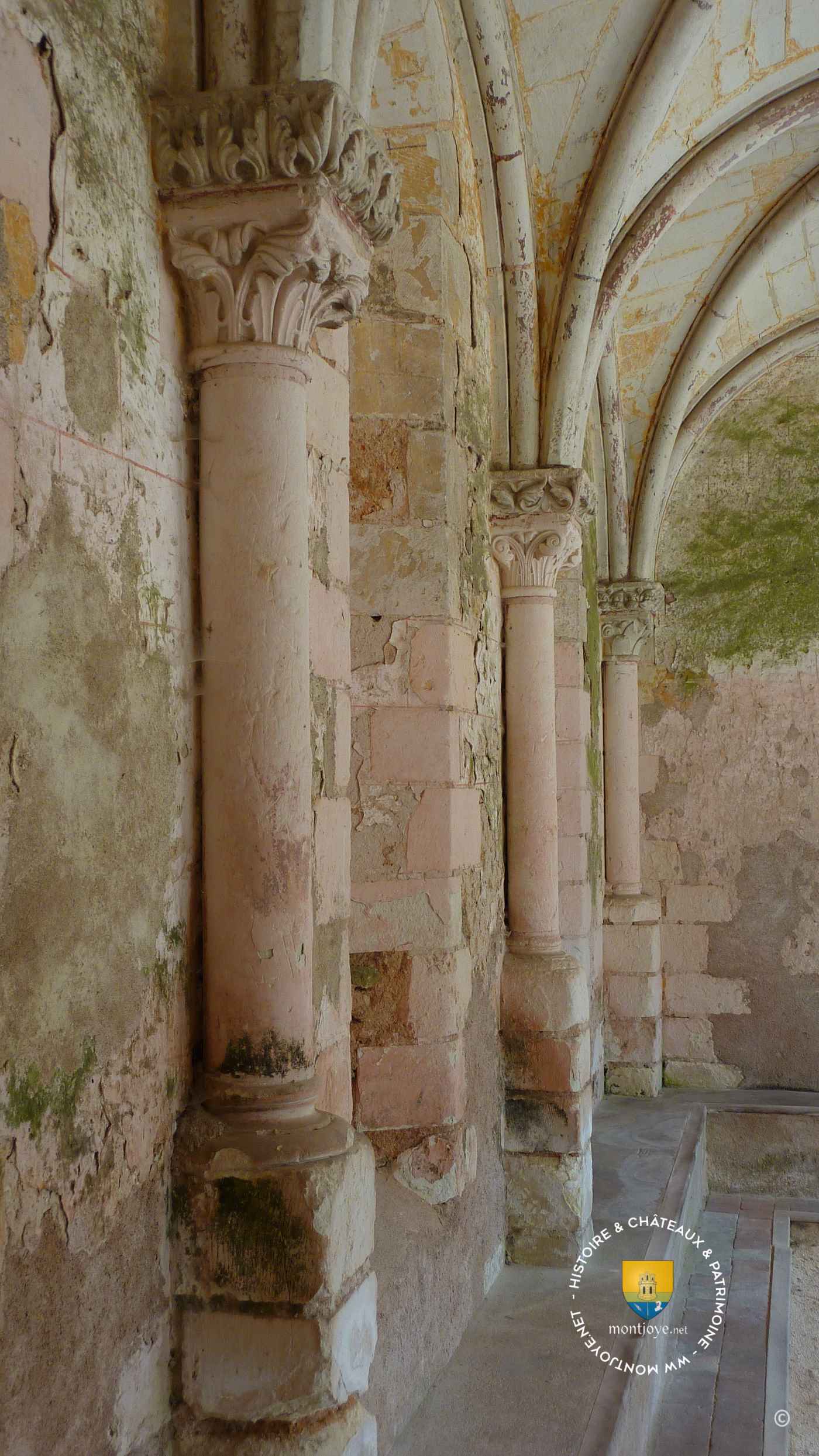 Salle Capitulaire Colonne XIIe