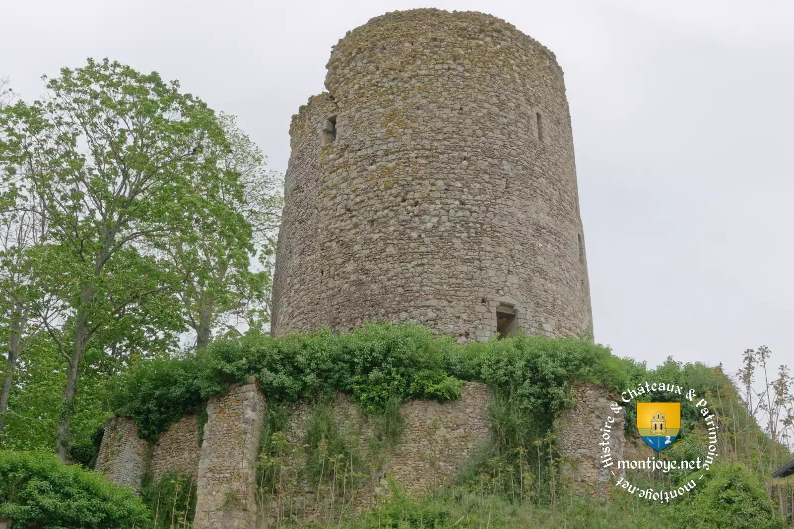 chemise du donjon chateau-renault