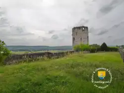 Tower Castle In France Chinon