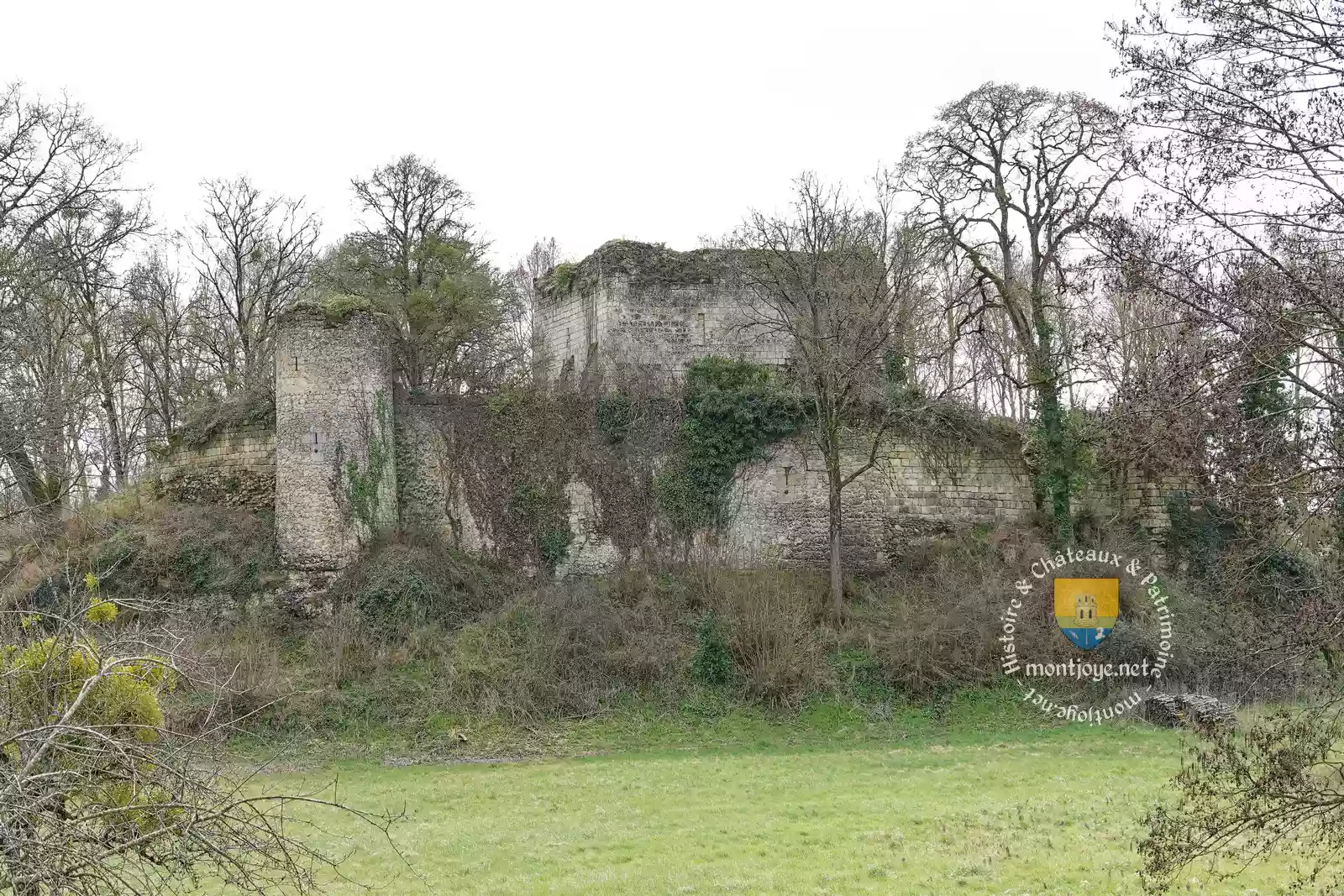 chateau de semblancay