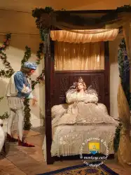 Belle Au Bois Dormant Chateau Usse