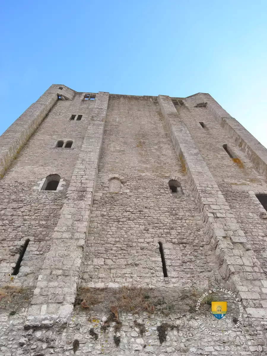 Contrefort Donjon XIe