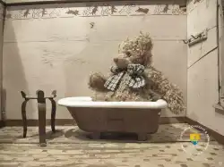 Ourson Qui Prend Son Bain