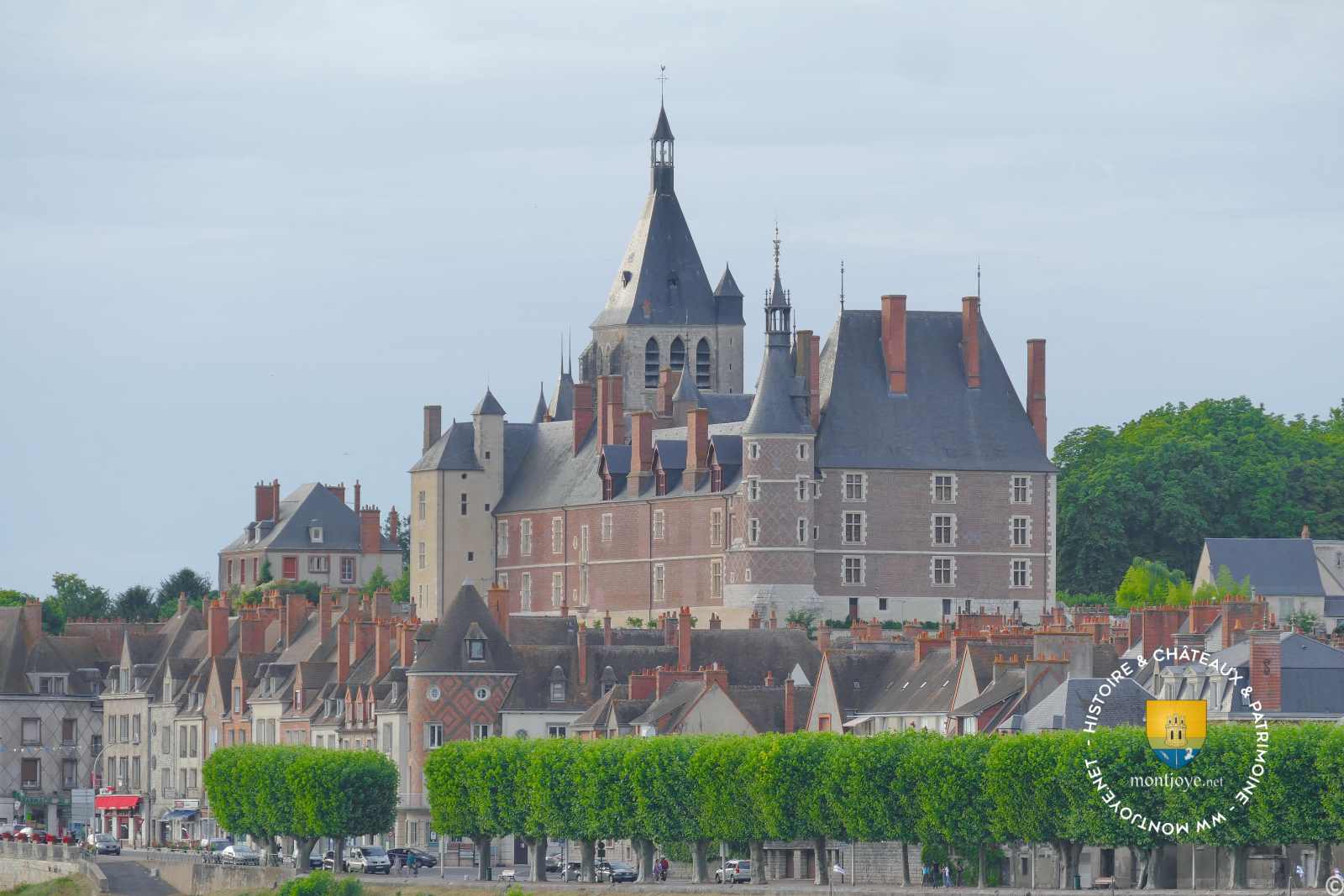 Musee Chateau De Gien