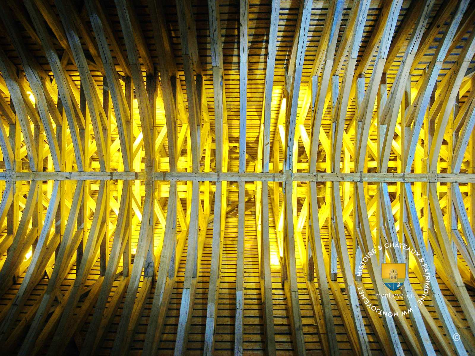 Charpente Berceau Brise XIVe