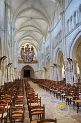 Nef  Orgue De Eglise Saint Pierre
