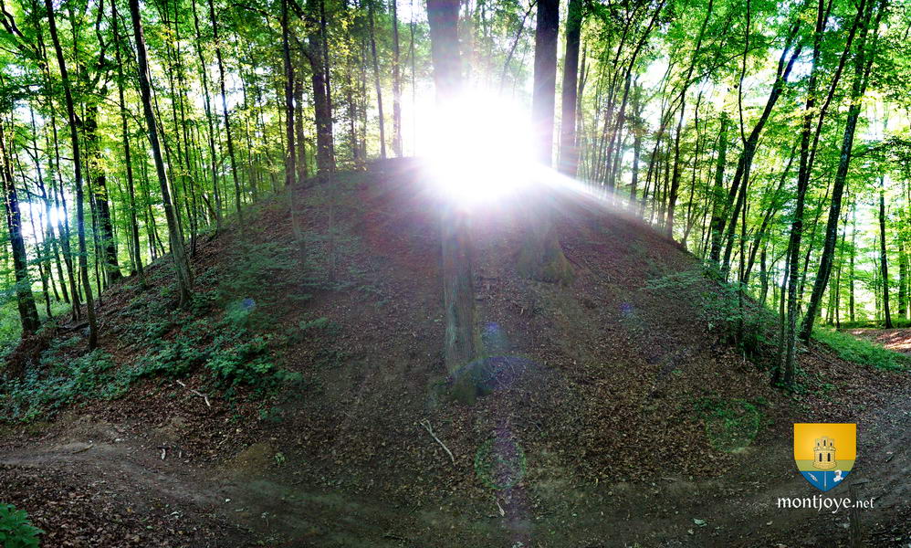 Mottes Castrales d'Ervy le Châtel Mottes Castrales d'Ervy le Châtel