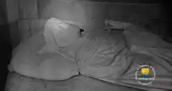 Eveque Toul Henri De Ville Jeanne Darc