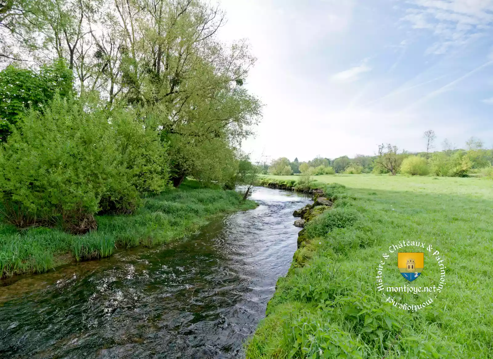 Le Mouzon Neufchateau 