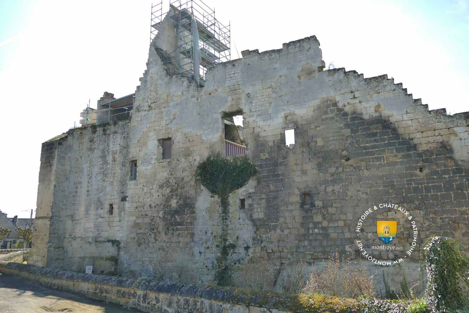 Enceinte Courtine Logis