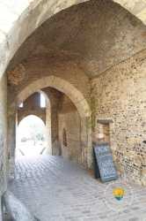 Cachot Entree Gratuite