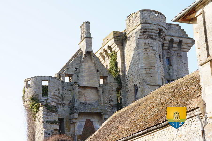 logis houssoy cheminee