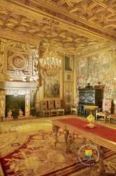 Salon Francois Ier Cheminee