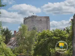 Donjon Moret Sur Loing Sommet