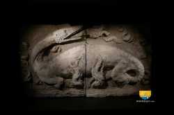 Salamandre Francois Ier