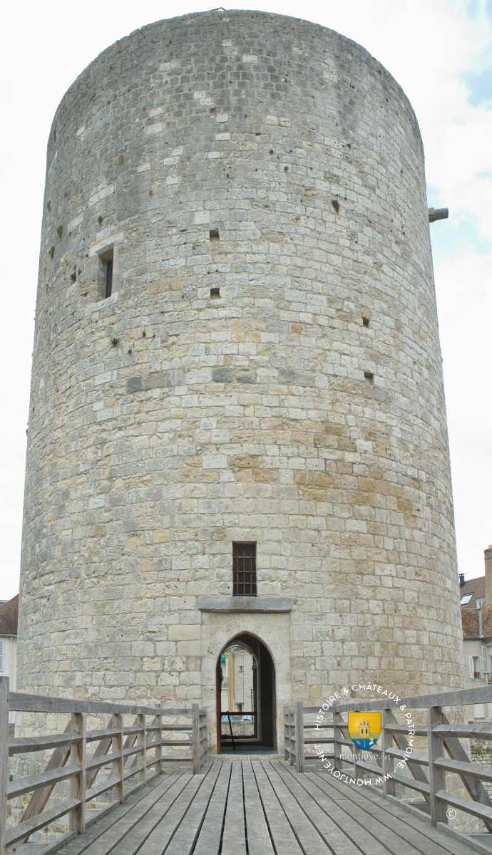 Entree Du Donjon De Dourdan