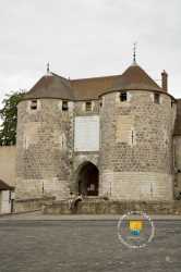 Castle Of Dourdan Tourism