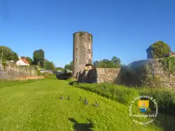 Canard De Marcoussis