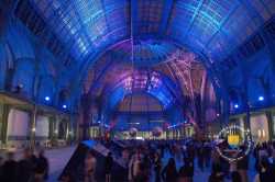 Grand Nef Du Grand Palais 0042