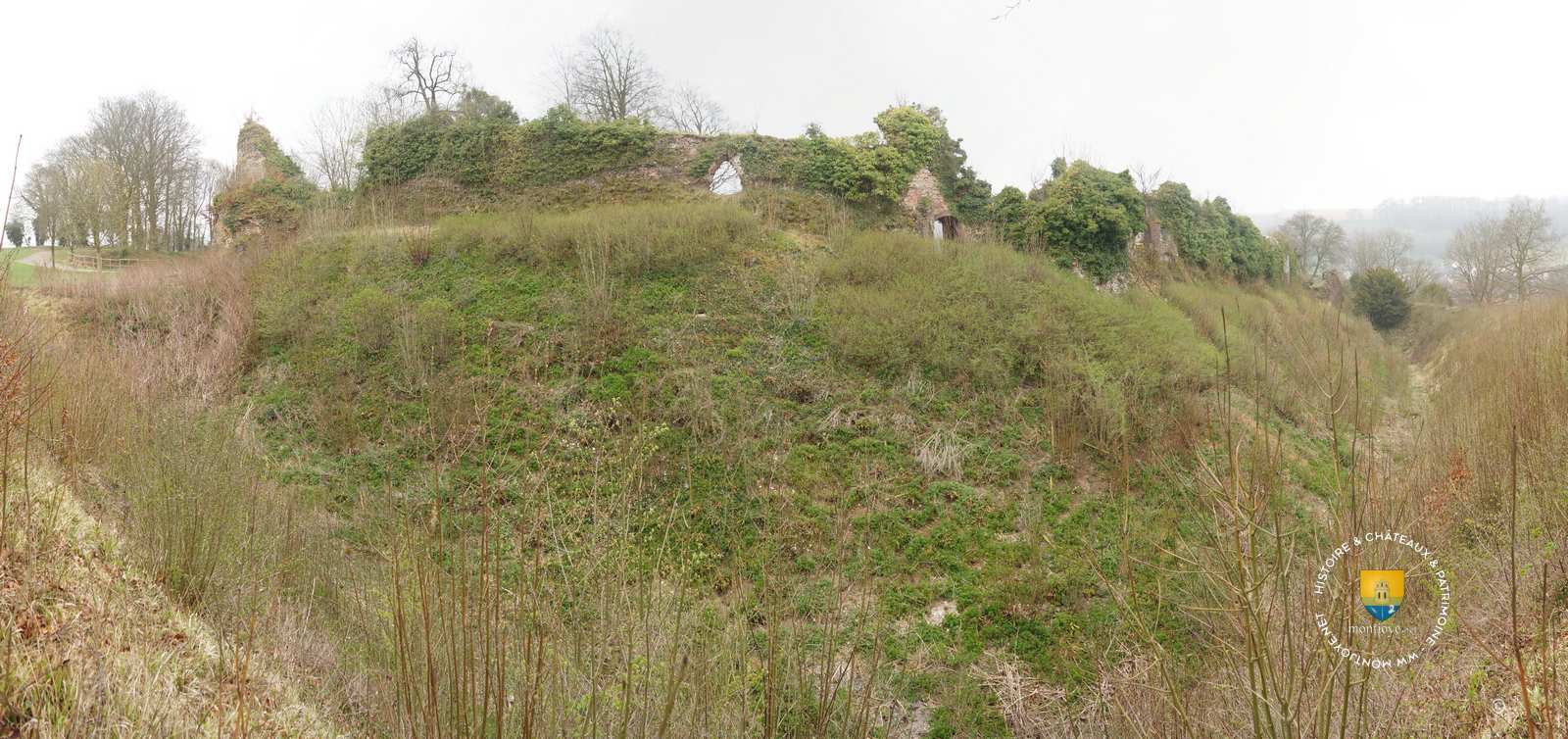 château de Longueville sur Scie, anciennement Longueville de Giffard, fut édifiée probablement sur un ancien Castrum Romain