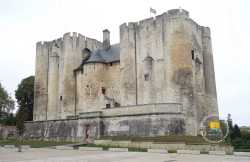 Donjon Ville De Niort
