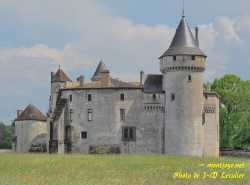 Chateau De La Brede Gironde