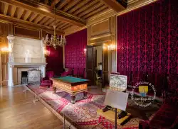 Salon De Famille Napoleon III Buste