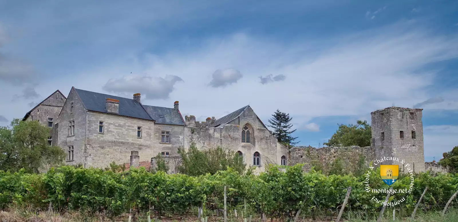 chateau de berrye village berrie