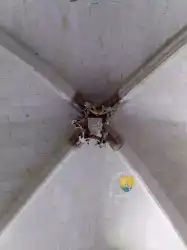 Clef De Voute Armoirie