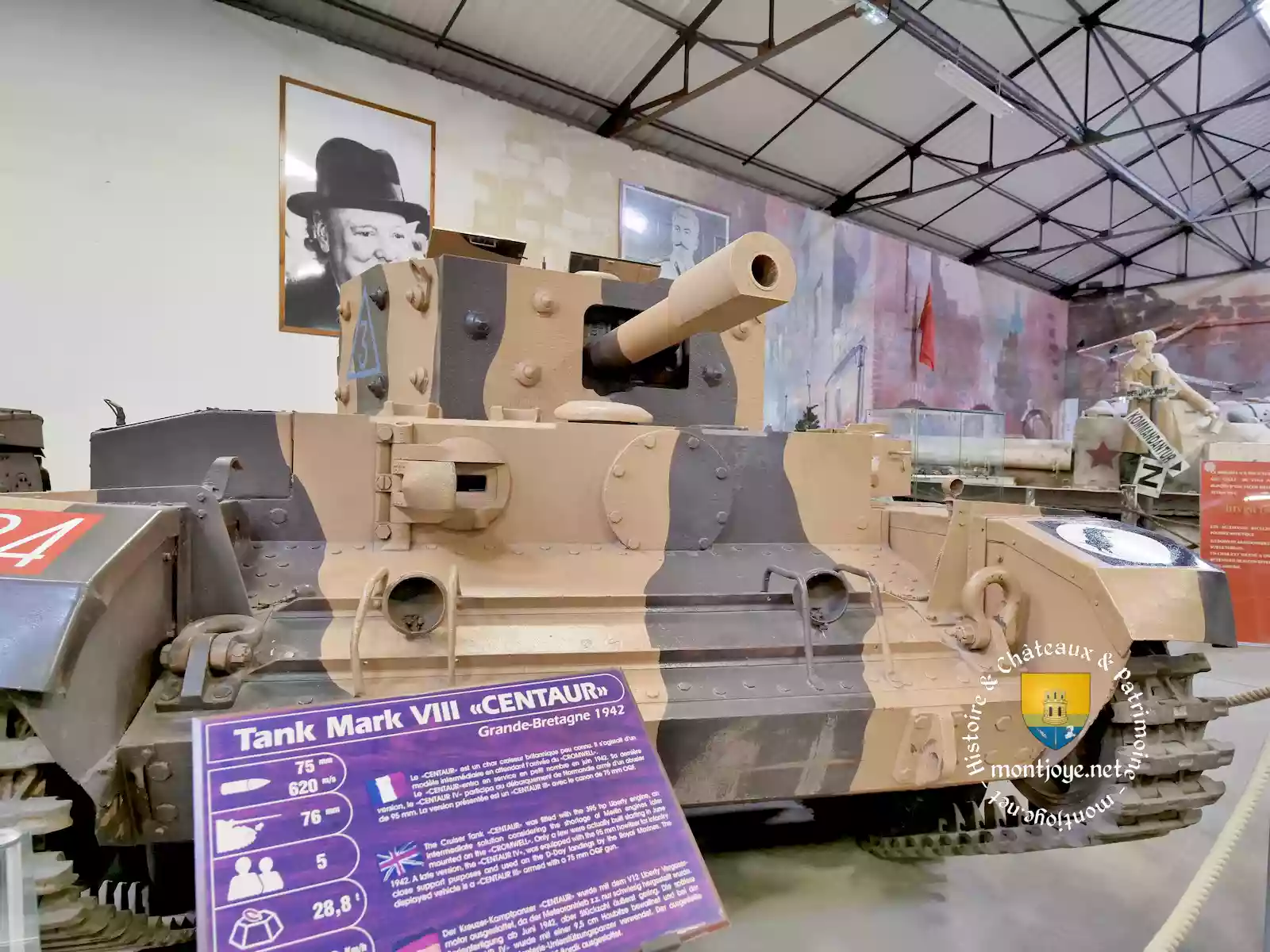 Tank Mark VIII Centaur 133 