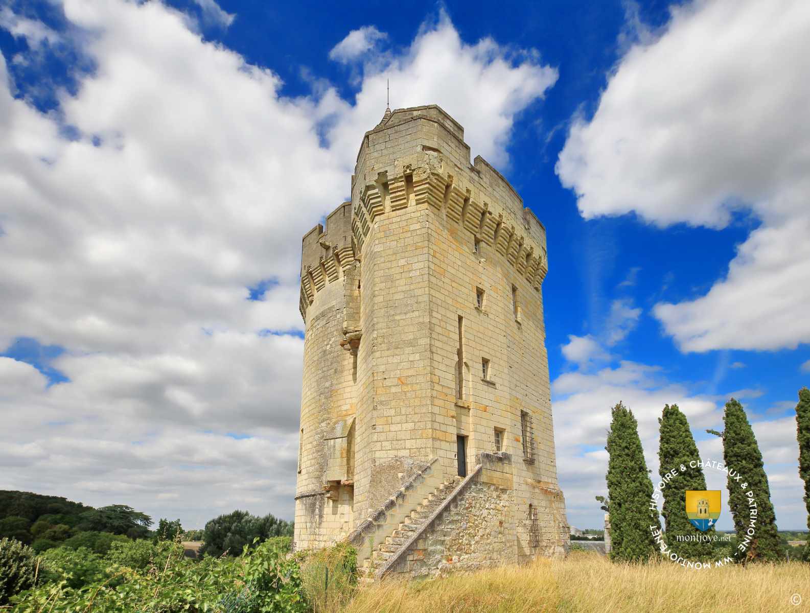 Donjon de Trèves Donjon de Trèves