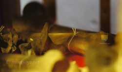 Reliques Saint Marcoul 1