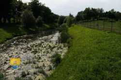  Etang Prairie De Vaires 9 2012