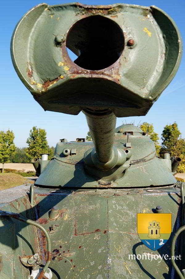 EBR 90F1 Berry Au Bac Canon