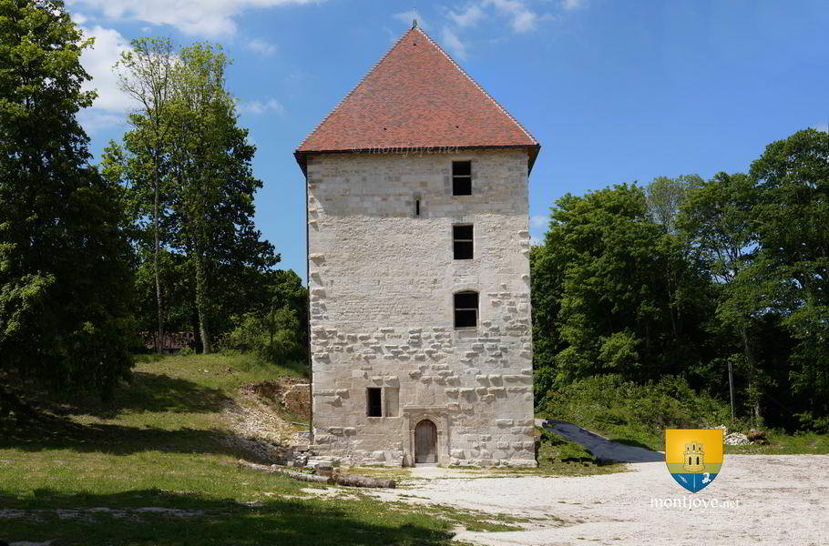Château et Donjon de Vignory