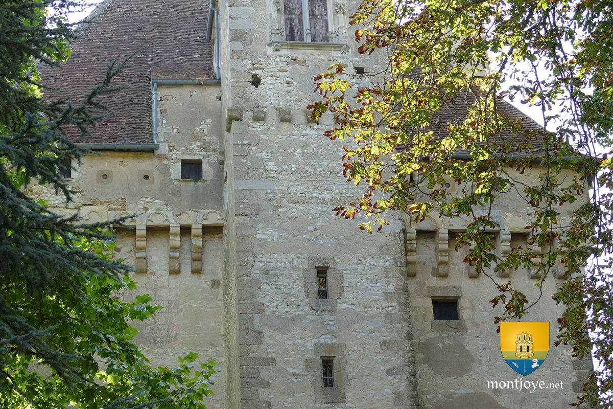 Donjon et Château de Cher 18 Histoire, Château et