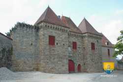 Porte Bosselee Morlet Loges Chateau