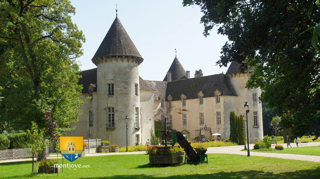 Chateau Savigny Les Beaune 