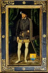 Henri II King Of France