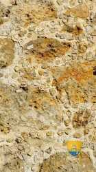 Montceaux Les Meaux Pierre Eglise 7