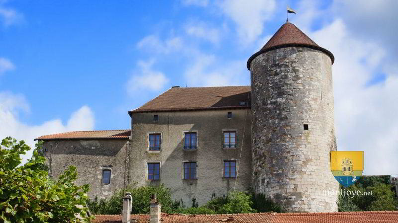 Gondrecourt le Château, Musée Lorrain du Cheval Gondrecourt le Château