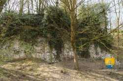 Reste Ancienne Forteresse