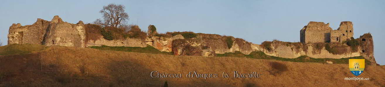 Château d'Arques la Bataille